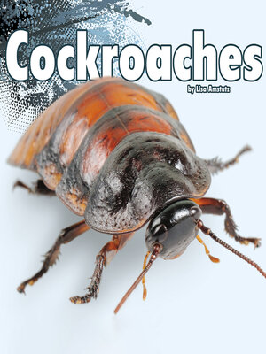 cover image of Cockroaches